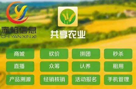 数智焕新凉都!趣买票携手梅花山景区打造贵州4A智慧文旅示范项目(图1)