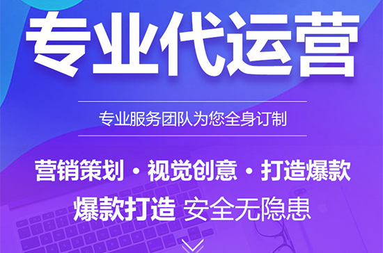 商家根据自身实际和实力自行选择切记：纯提模式不靠谱对于网店运营毫无实际帮助。(图1)