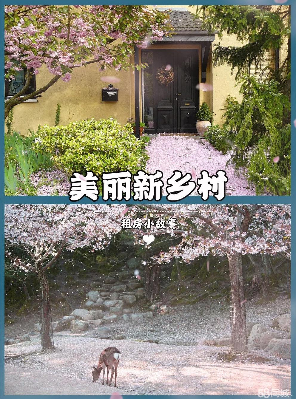 生态旅游促发展美丽乡村引客来(图1)